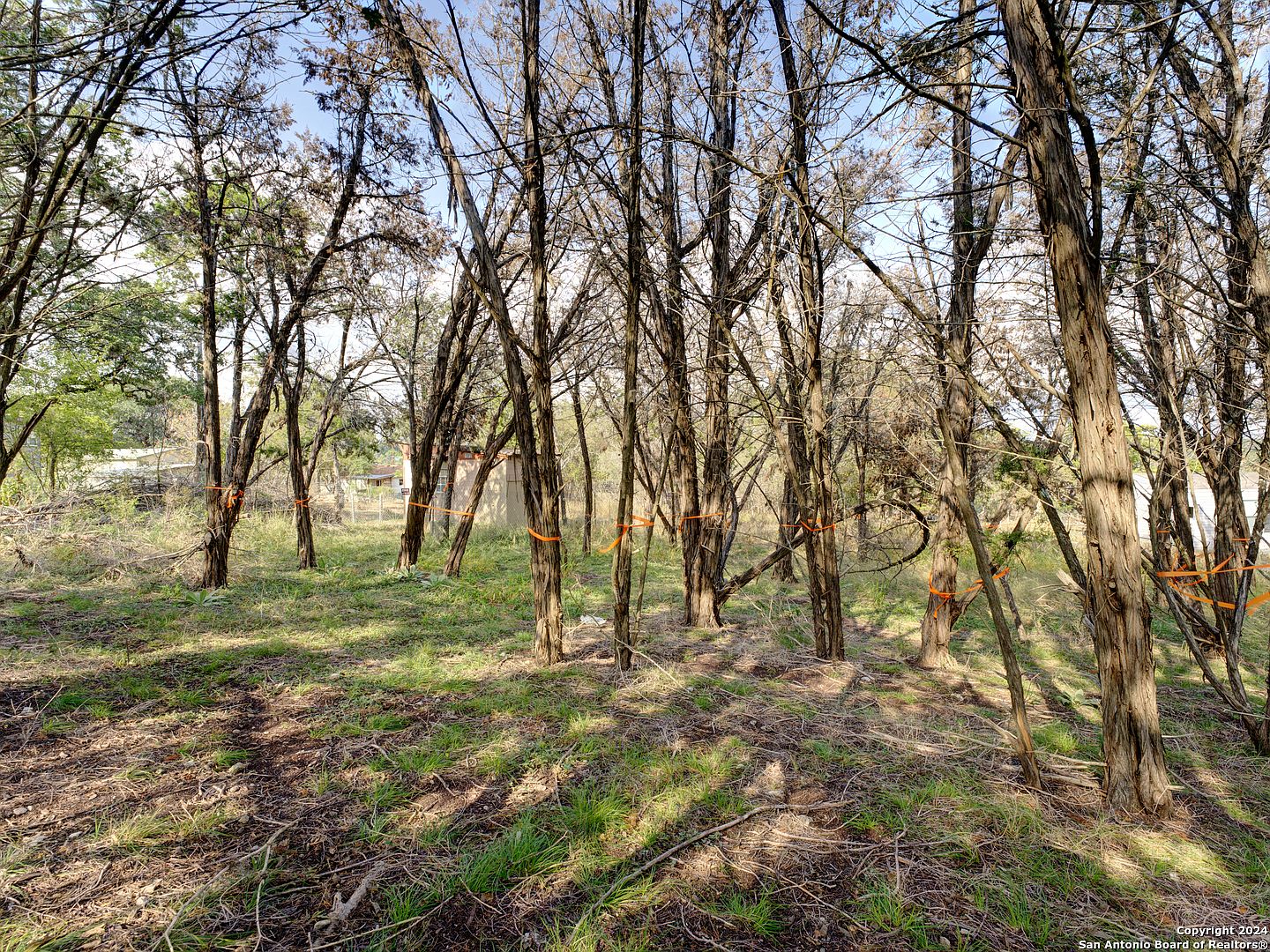 10468 Rebecca Creek LOT 2