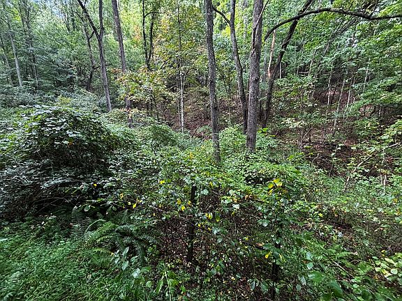 5th image of Big Pine Rd Lot Wp001
