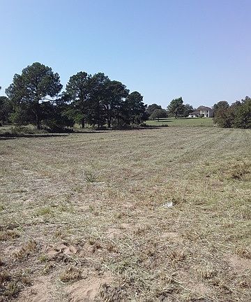 3rd image of 2942 Owenwood Dr