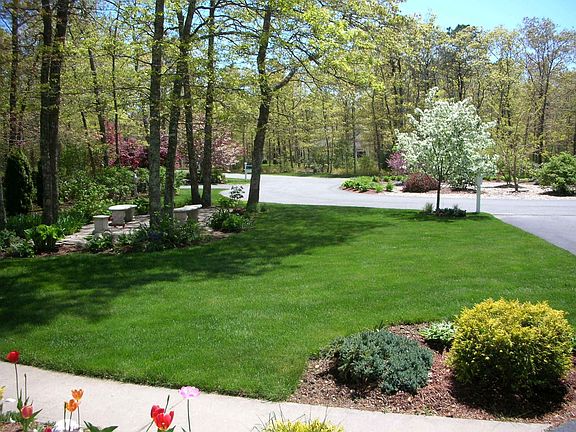 Lush landscape and Flowers