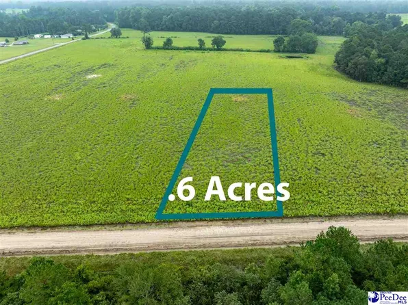 LOT 4 Tansy Rd, Loris, SC 29569