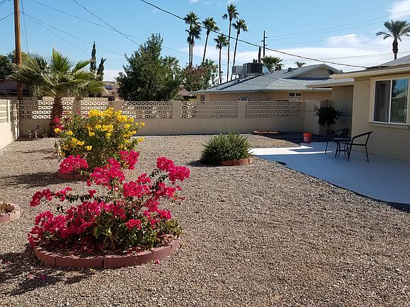 back yard