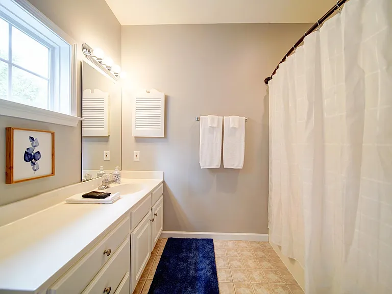 Master Bath tub/shower