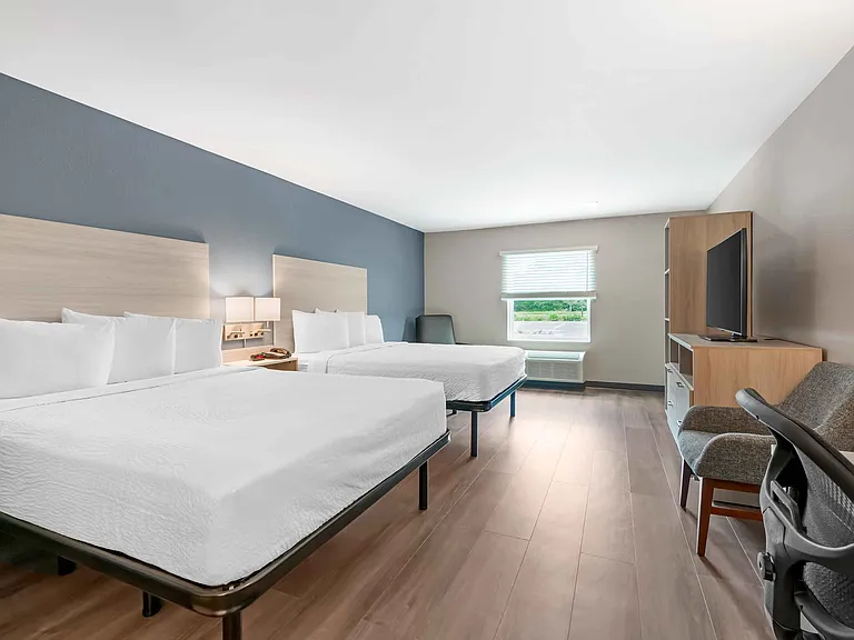 Studio Suite - 2 Queen Beds