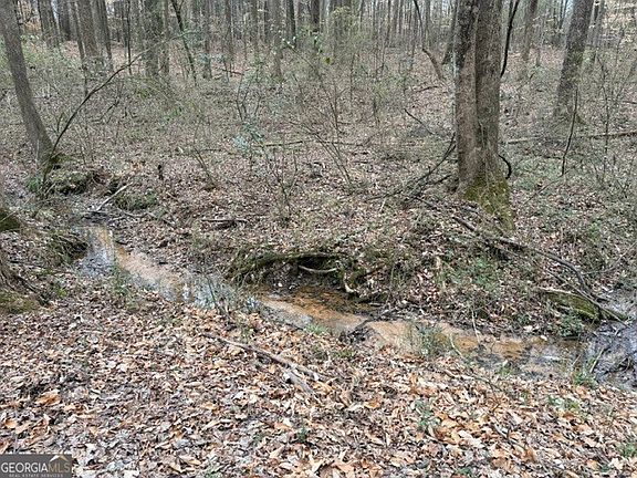 2nd image of 0 Tarpkins Rd