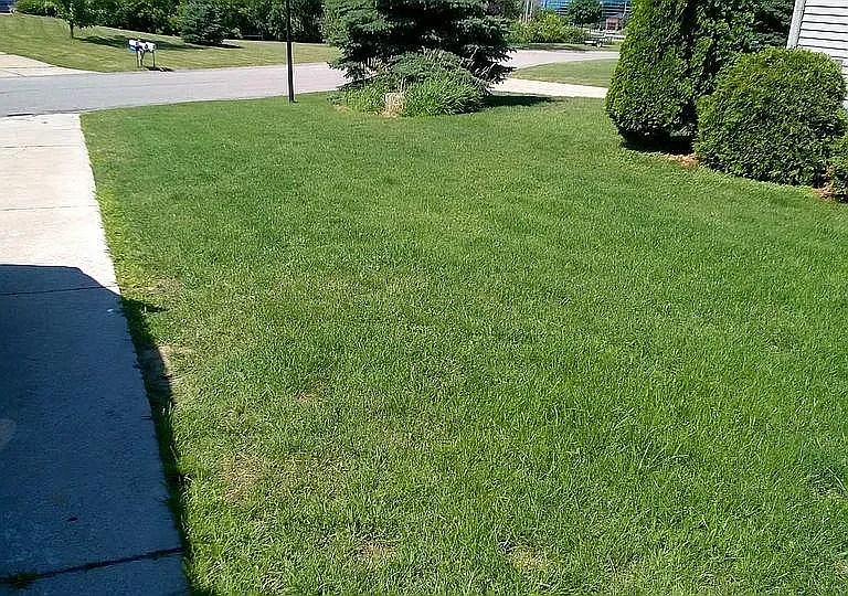 9644 Meadowland Ct #9644 — Photo 12