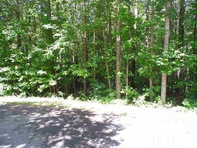 117 Rustler Rd, Louisburg, NC, 27549