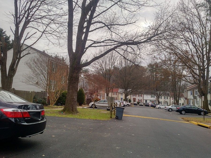 2nd image of 5037 Tibbitt Ln