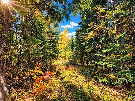 21st image of TBD Hinkkanen Rd