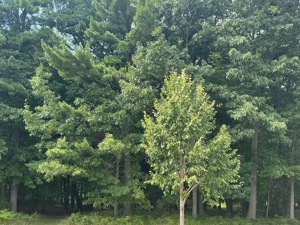 Stordeur Dr #120, Green Bay, WI 54313