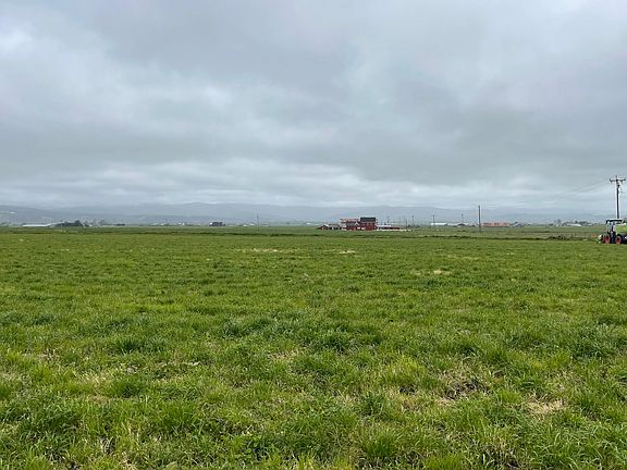 4th image of 1561 Grizzly Bluff Rd