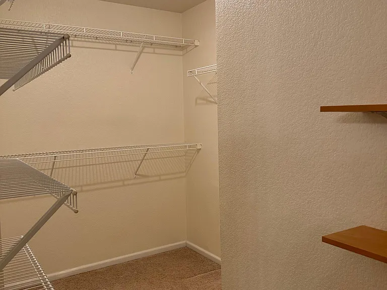 2865 Whitetail Cir — Photo 13