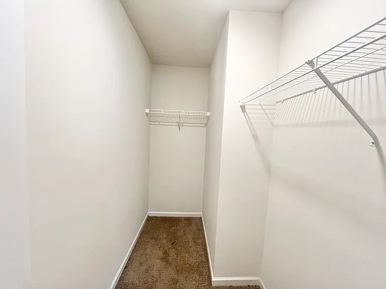 6420 Ellimar Field Ln — Photo 21