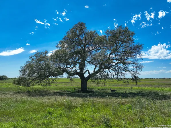 977 CR 305 LOT 5, Floresville, TX 78114