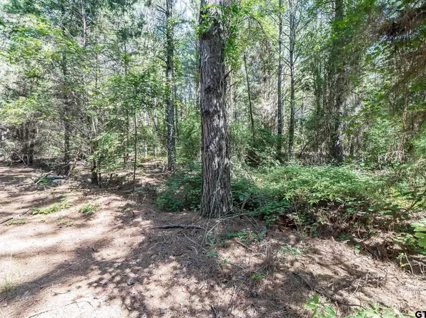 County Road 4609 Parcel 3, Troup, TX 75789