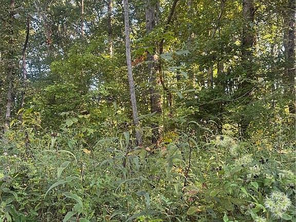 2nd image of LOT 3 Roberts Ridge Rd