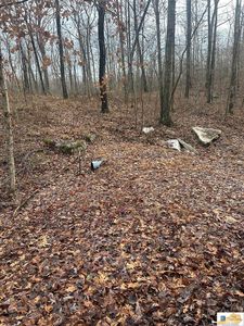 500 Riherd Estates Rd, Park City, KY, 42160