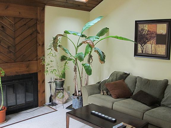 Additional living area view