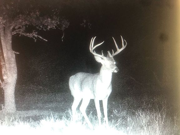 5th image of 8441 NE County Road 3250
