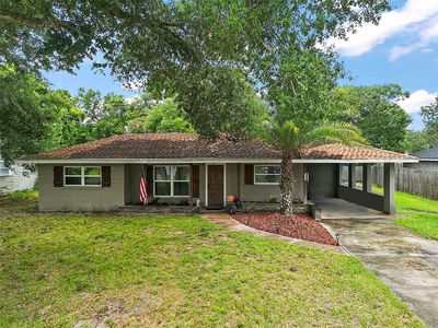 1175 Holly Dr, Mount Dora, FL, 32757