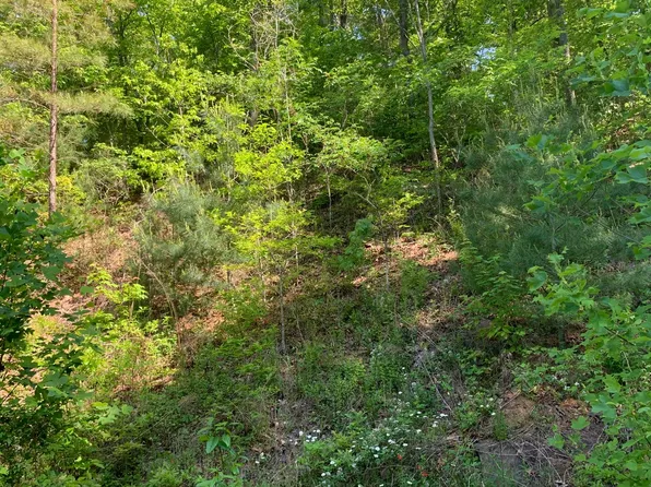 LOT 4A Trillium Ln, Brasstown, NC 28902