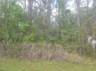 Trespass Trl, Astor, FL 32102