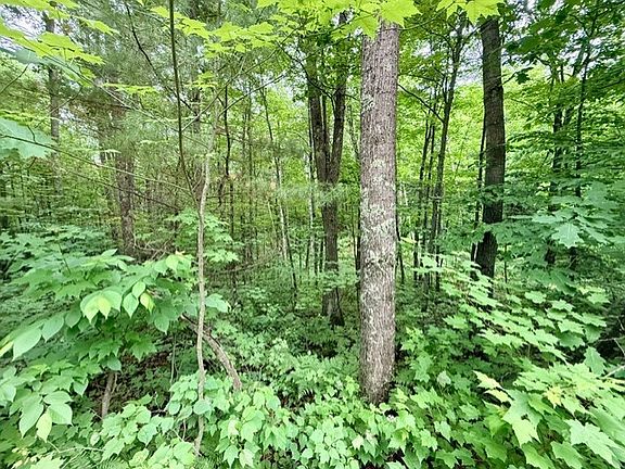 5th image of 8827 N Norwis Road