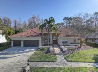 100 Greenhaven Trl, Oldsmar, FL 34677