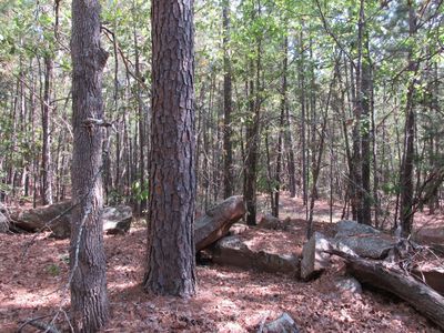 40 Antler Rd, Antlers, OK, 74523