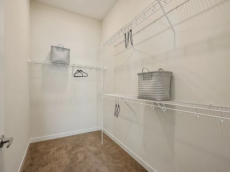 Walk-in Closet + Ample Hanging Storage