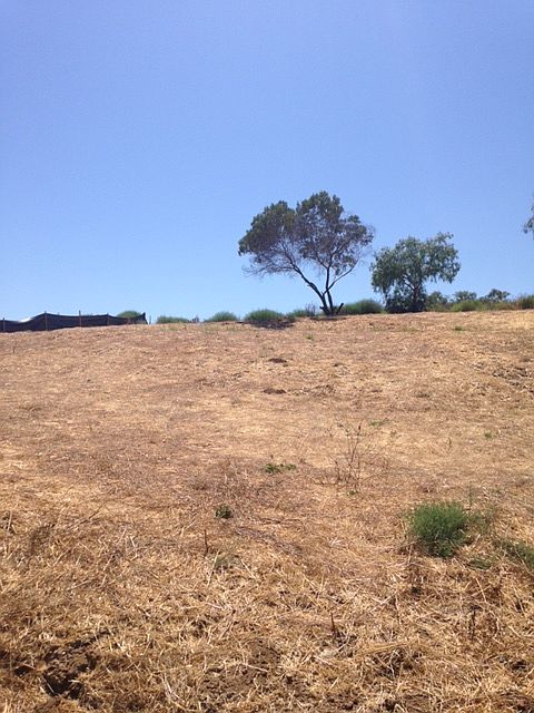 1st image of 437 69th St