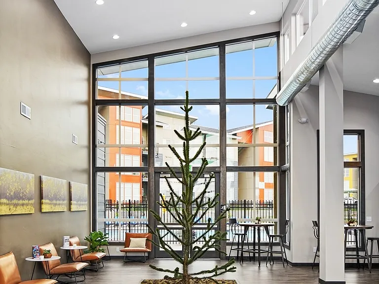 Clubhouse & Monkey Tree