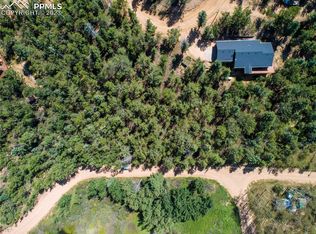 48 Wakanda Trl, Woodland Park, CO 80863