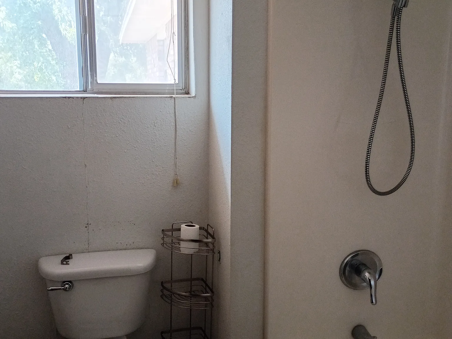 1 bed, 1200 sqft, $750 — Photo 2