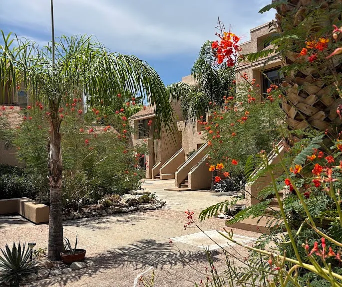 5675 N Camino Esplendora #2111 — Photo 1