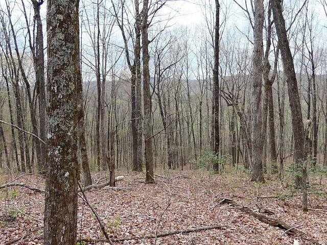 2nd image of 0 Chestnut Ridge Rd
