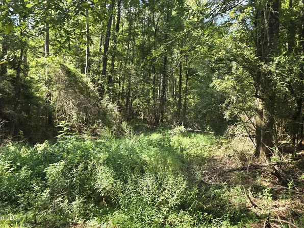 3190 NE Quentin Tower Rd, Mc Call Creek, MS 39647