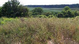 1st image of 2040 Brace Rd