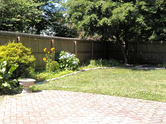 Backyard (July 2016)