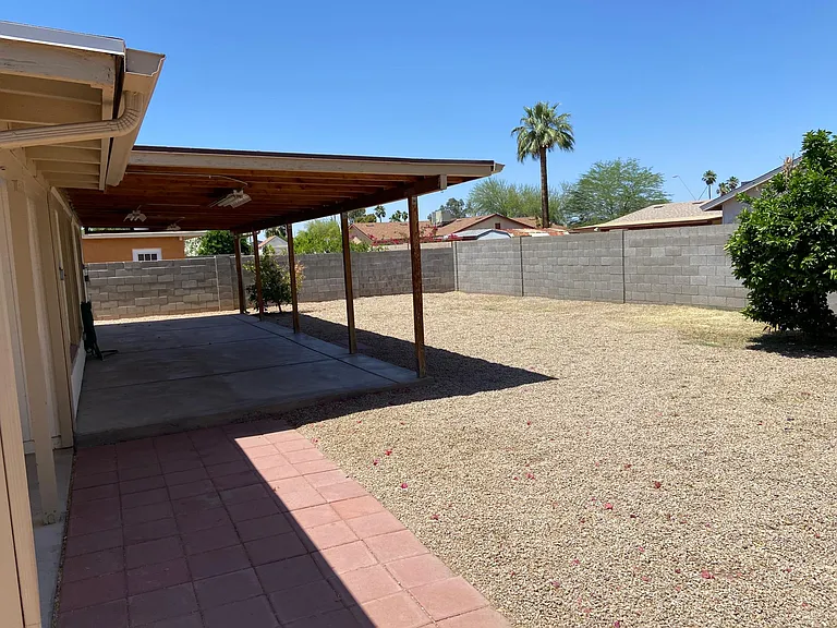 Back yard/patio