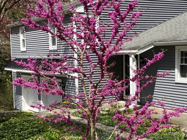 7 Carol Ln, Berwyn, PA 19312