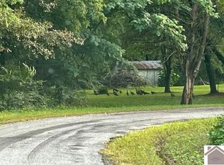 8299 State Line Rd E, Hazel, KY 42049