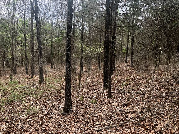 3rd image of Alicia Ln