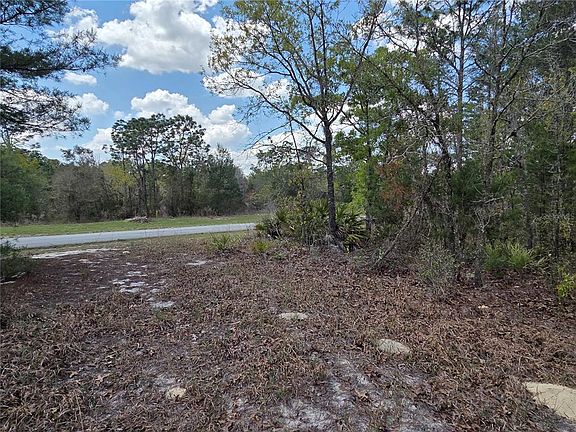 4th image of SW 139th Place Rd Lot 29
