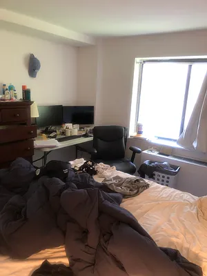 Rented by Living Space | media 15