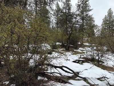 Sparrow Hawk Dr LOT 31, Bonanza, OR, 97623