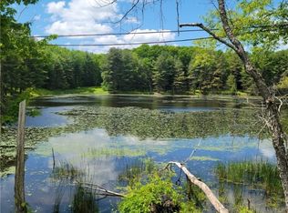 LOT 5 County Route 13 #43, New Berlin, NY 13411