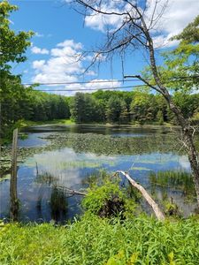 LOT 5 County Route 13 #43, New Berlin, NY, 13411