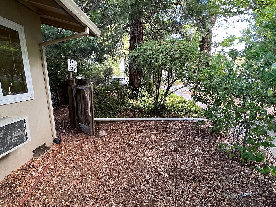 Front yard