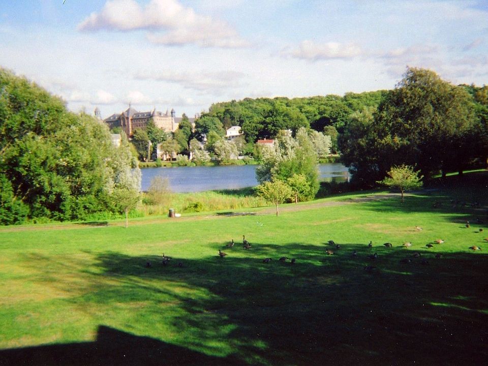 Summer View from Balcony